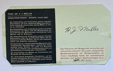 Hermann Joseph Muller - Nobelpreis Medizin 1946 - original Autogramm - 16 x 9 cm