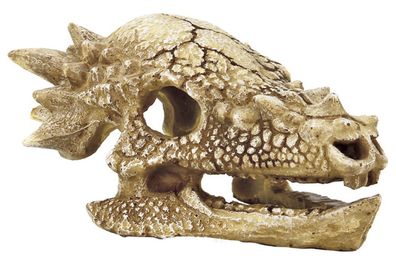 SF Skull Schädel - T-Rex Gr.M 15x11x8 cm Aquarium Dekoration