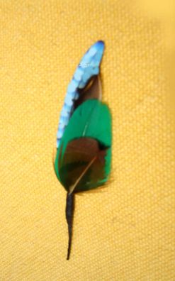 kleine Hutfeder Hutschmuck Feder blau m grün ca 4,5cm für Herrenhut Art 24-47