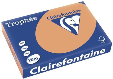 Clairefontaine Trophée Color 1244C Camel 120g/ m² DIN-A4 - 250 Blatt Papier