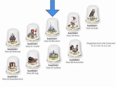 1X Fingerhut- Harz- Brocken- Porzellan- deutsches Produktdesign