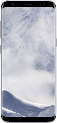 Samsung Galaxy S8 Arctic Silver - Bastlerware, sofort lieferbar, SM-G950