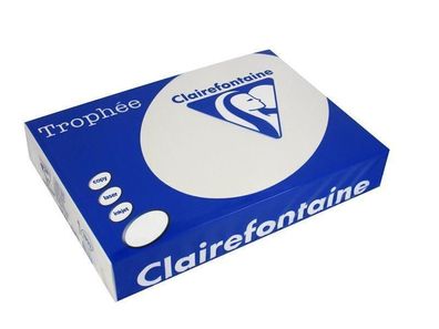 Clairefontaine Trophée Color Grau 1301C - 120g/ m² DIN-A3 - 250 Blatt