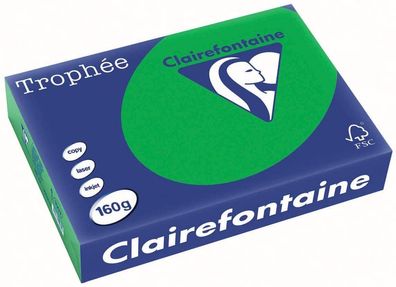 Clairefontaine Trophee Color 1007C Billiardgrün 160g/ m² DIN-A4 - 250 Blatt