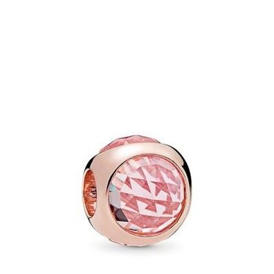 Charm Pandora 782095NPM