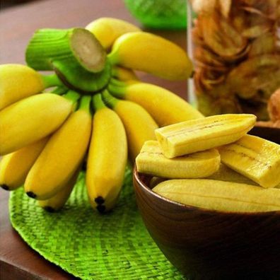 50 Stück Zwerg Bananen Baum Samen Hohe Keimrate Einfach Zu Kultivieren Mini Bons