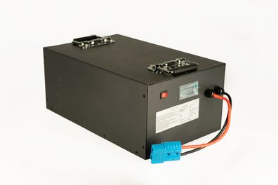 LiFePO4 Akku 48V 60Ah 2880Wh 100A Lithium-Eisen-Phosphat Batterie für Camping ...