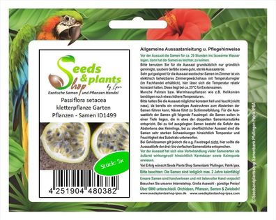 5x Passiflora setacea kletterpflanze Garten Pflanzen - Samen ID1499