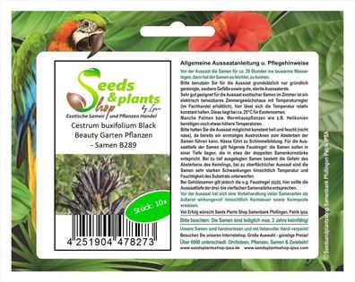 10x Cestrum buxifolium Black Beauty Garten Pflanzen - Samen B289