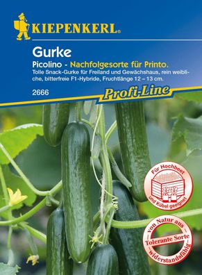 Gurke / Mini-Snack-Salatgurke Picolino, F1 - Nachfolgesorte für Printo