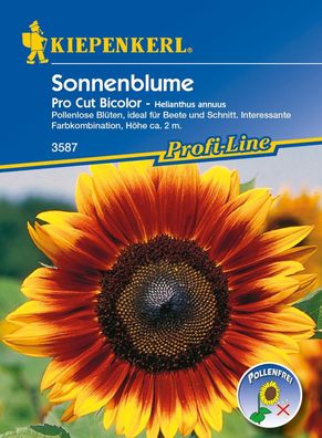 Sonnenblume Pro Cut Bicolor, F1 - Pollenarm