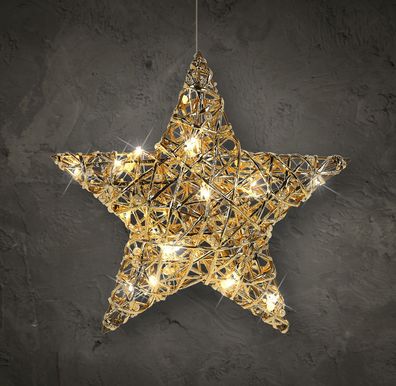 LED Stern gold 30 cm - 20 LED - Weihnachten Hänge Deko warm weiß Timer Batterie
