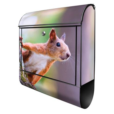 banjado® Design Briefkasten Stahl schwarz mit Zeitungsfach Motiv Eichhörnchen