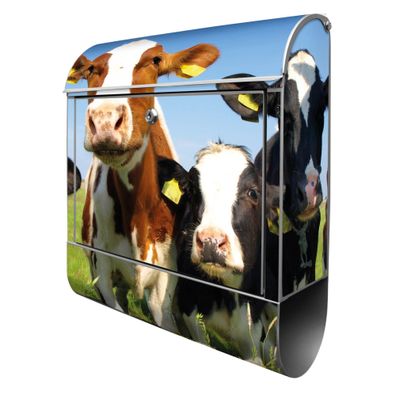 banjado® Design Briefkasten Stahl silber mit Zeitungsfach Motiv Kühe