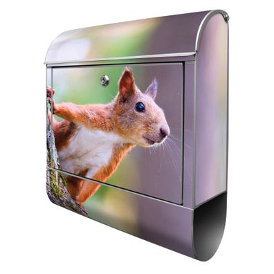 banjado® Design Briefkasten Stahl silber mit Zeitungsfach Motiv Eichhörnchen