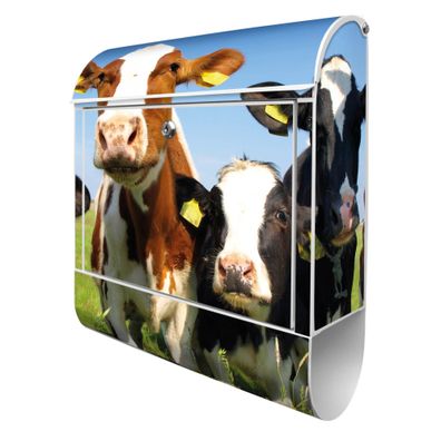 banjado® Design Briefkasten Stahl weiß mit Zeitungsfach Motiv Kühe