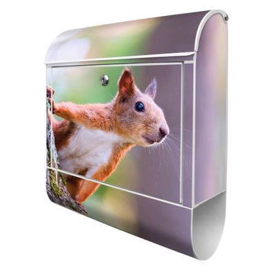 banjado® Design Briefkasten Stahl weiß mit Zeitungsfach Motiv Eichhörnchen