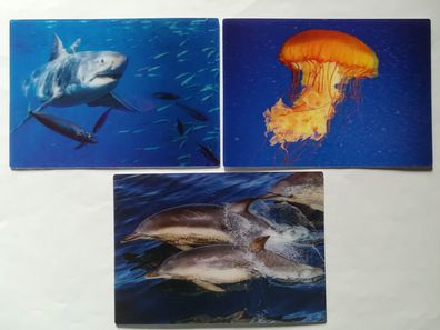 3 D Ansichtskarte Hai o. Qualle Delfine Postkarte Wackelkarte Hologrammkarte Tiere