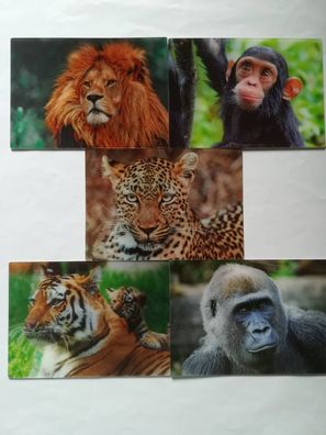 3 D Ansichtskarte Tiere Postkarte Wackelkarte Hologrammkarte Affe Raubkatze Löwe