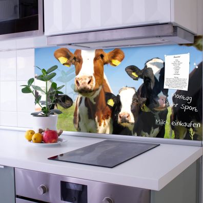 banjado® Küchenrückwand aus gehärtetem Glas magnetisch Motiv Kühe