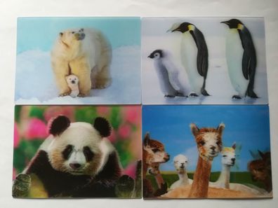 3 D Ansichtskarte Eisbär Pinguin Panda Lama Postkarte Wackelkarte Hologrammkarte Tier