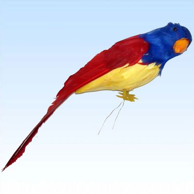 Bunter Papagei mit echten Federn Dekoration Südsee Seeräuber Pirat Hawai