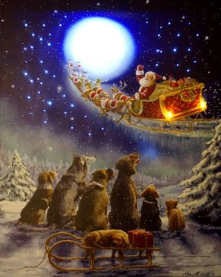 Leuchtbild Hunde mit Mond Nikolaus Batteriebetrieb Wandbild LED Bild 38x48 cm