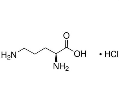 L-Ornithin Hydrochlorid (99-101%, AJI, Food Grade)
