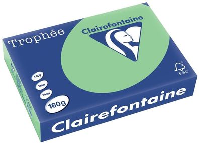 Clairefontaine Trophee Papier 1120C naturgrün 160g/ m² DIN-A4 - 250 Blatt