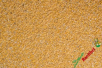 4,21€/ kg) Gelbsenf 5 kg Gründüngung Stilllegung Samen Zwischenfrucht Bodenver