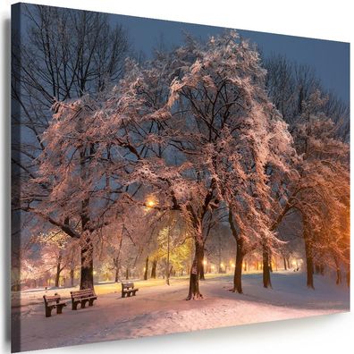 Leinwand Bilder Natur Winterlandschaften Park Premium Kunstdruck Wandbilder
