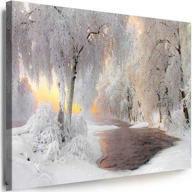 Leinwand Bilder Natur Winterlandschaften Wald Fluss Premium Kunstdruck Wandbilder