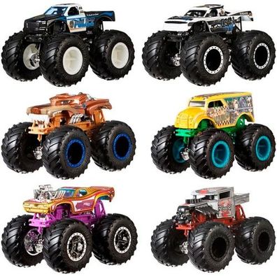 Mattel Hot Wheels Monster Trucks 1:64 Die Cast 2er Pack sortiert
