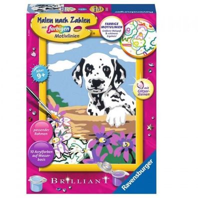 Ravensburger Malen nach Zahlen Sonderserie E Dalmatiner Welpe