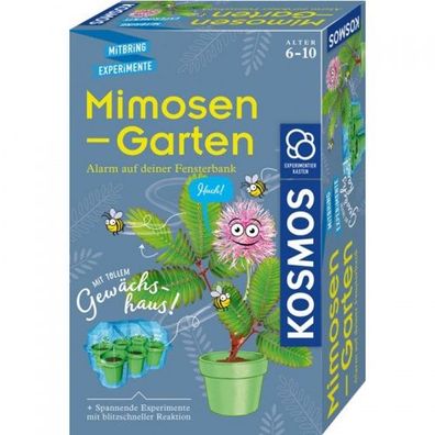 Kosmos Mimosen Garten