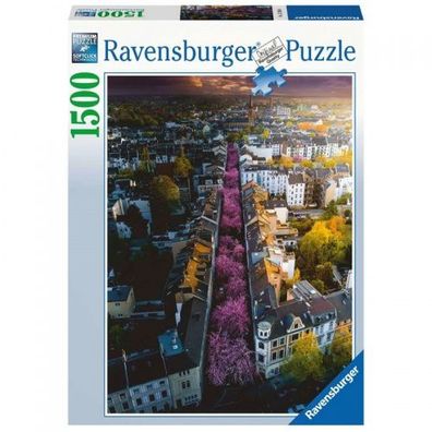 Ravensburger Blühendes Bonn 1500 Teile