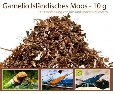 Garnelio - Isländisches Moos - 10 g - Garnelen Futter