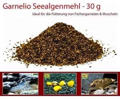 Garnelio - Seealgen Mehl - 25 g - Garnelen Futter