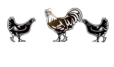 Figur Hahn (40 cm) und 2 Hühner (28 cm) SET blank Roststecker Rostdeko Edelrost
