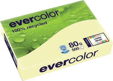 Clairefontaine Forever Evercolor Pastell Hellgelb A3 - 30005C 80g Inh.500 Blatt