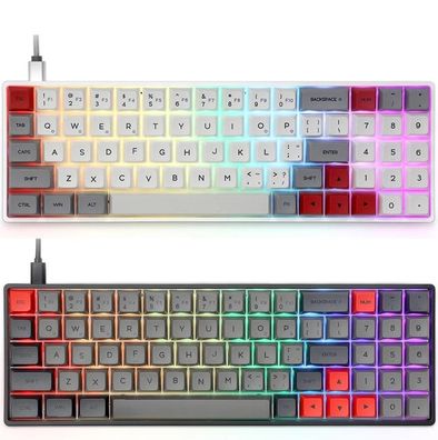 Mechanische Gaming-Tastatur mit Bluetooth Wireless/ USB-Kabel