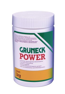 Kluthe Grüneck Power Abbeizer 1 kg