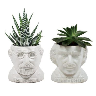 Mini Blumentopf Albert Einstein Keramik Beethoven Kopf Sigmund Freud UPG Weiß