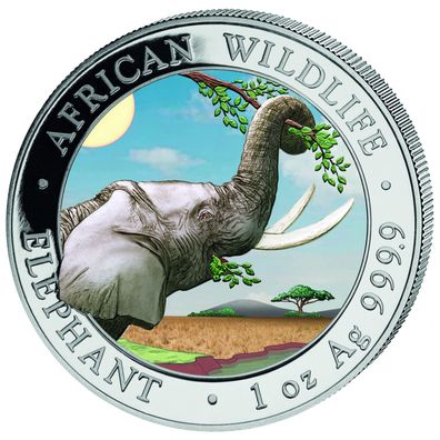 Somalia Elefant 2023 Tagdesgin / Farbe 1 oz 999 Silber African Wildlife