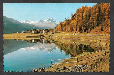 Postkarte Schweiz Silvaplana mit Piz della Margna, gelaufen nach Zürich