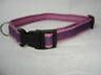 Halsband - Hundehalsband, Halsumfang 29-43cm, °Lilla° Nylon