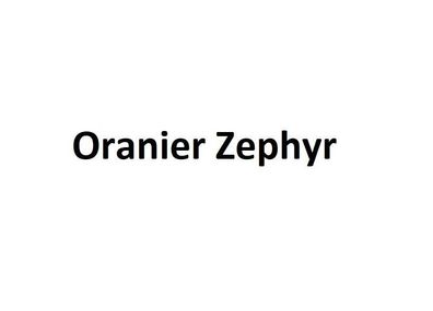 Pellets Oranier Zephyr Stahl Negro 6Kw Con Externo Suministro de Aire [ EEK : A