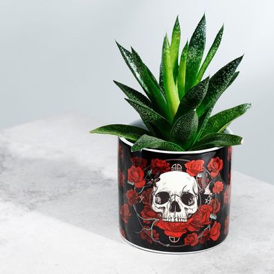 Skulls & Roses Keramischer Pflanztopf für Innenräumet - Klein