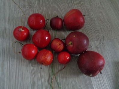 Baumbehang , Deko - 11 Teile -Äpfel verschiedene Größen