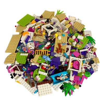 LEGO Friends Original Mix - Gemischte Steine + Minifigur - Fabrikneu Menge 100 Stck